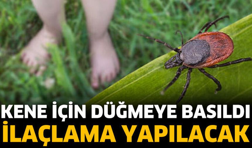 Kene ve Haşereye Karşı Seferberlik
