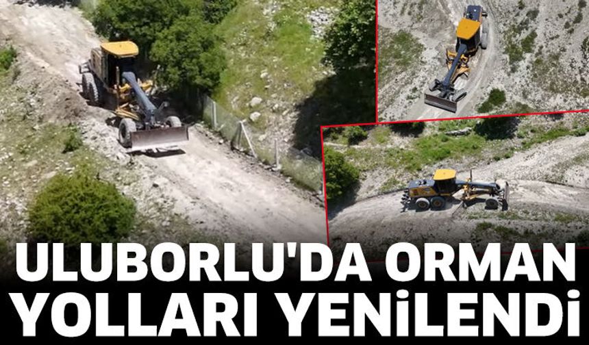 Uluborlu'da Orman Yolları Yenilendi