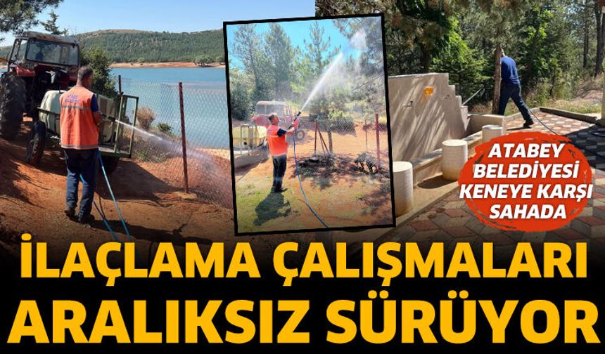 Atabey Belediyesi Keneye Karşı Sahada