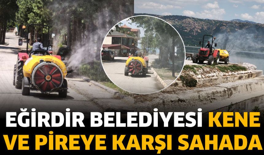 Eğirdir Belediyesi Kene ve Pireye Karşı Sahada