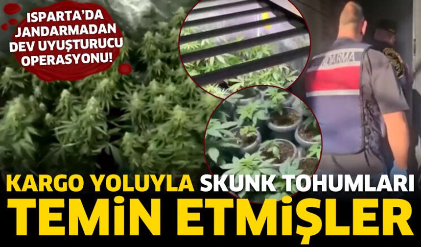 Isparta'da jandarmadan dev operasyon