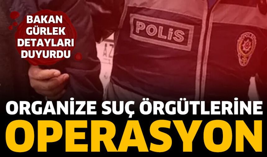 Organize suç örgütlerine operasyon