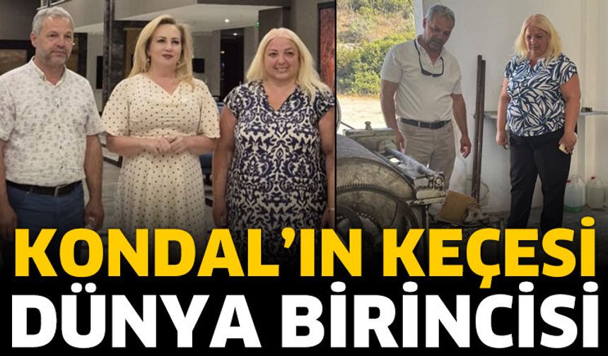 Kondal’ın Keçesi Dünya Birincisi