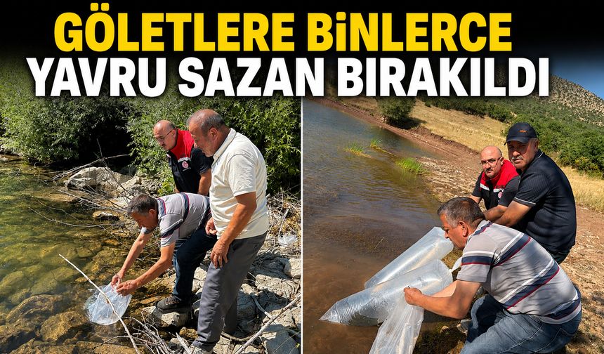 Göletlere binlerce yavru sazan bırakıldı