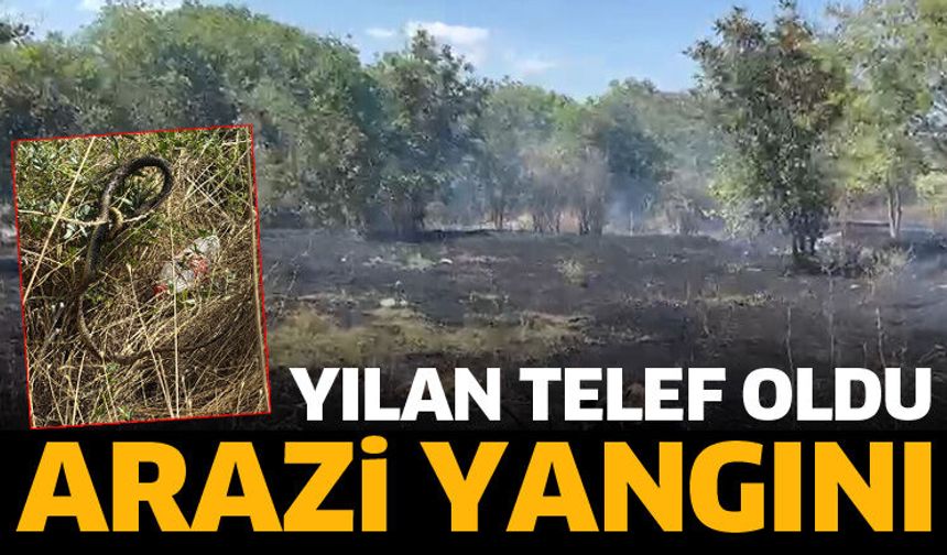 Arazi yangını korku yarattı