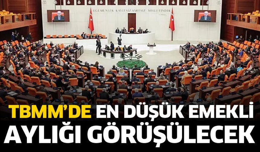 TBMM'de bu hafta en düşük emekli aylığı teklifi görüşülecek