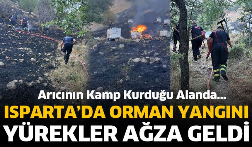 Isparta’da orman yangın! Yürekler ağza geldi