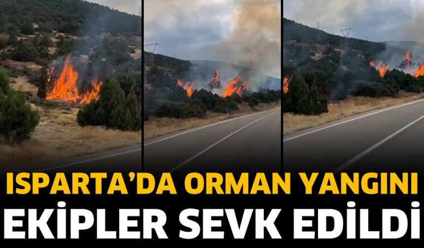 Isparta'da orman yangını paniği
