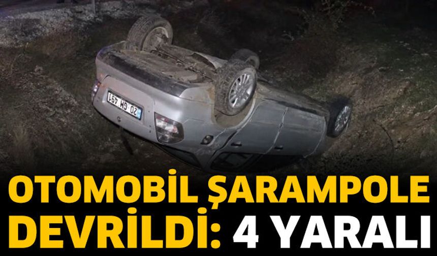 Otomobil Şarampole Devrildi: 4 Yaralı