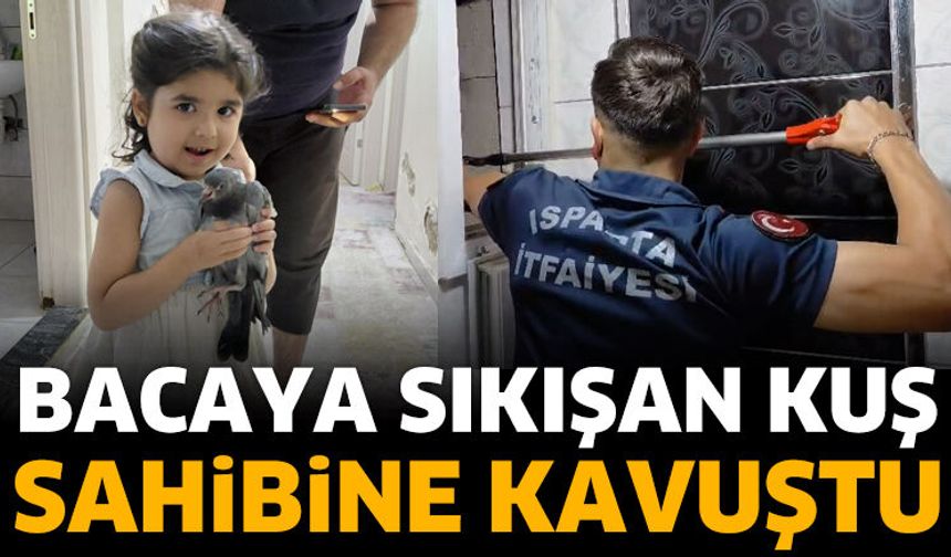 Bacaya Sıkışan Kuş Sahibine Kavuştu