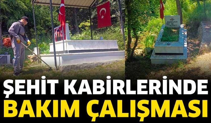 Şehit Kabirlerinde Bakım Çalışması