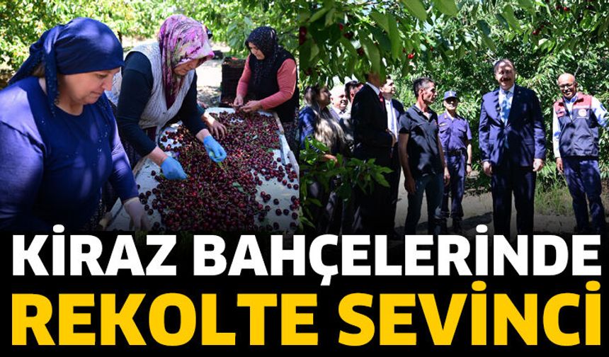 Vali Erin Kiraz Bahçelerinde İnceleme Yaptı