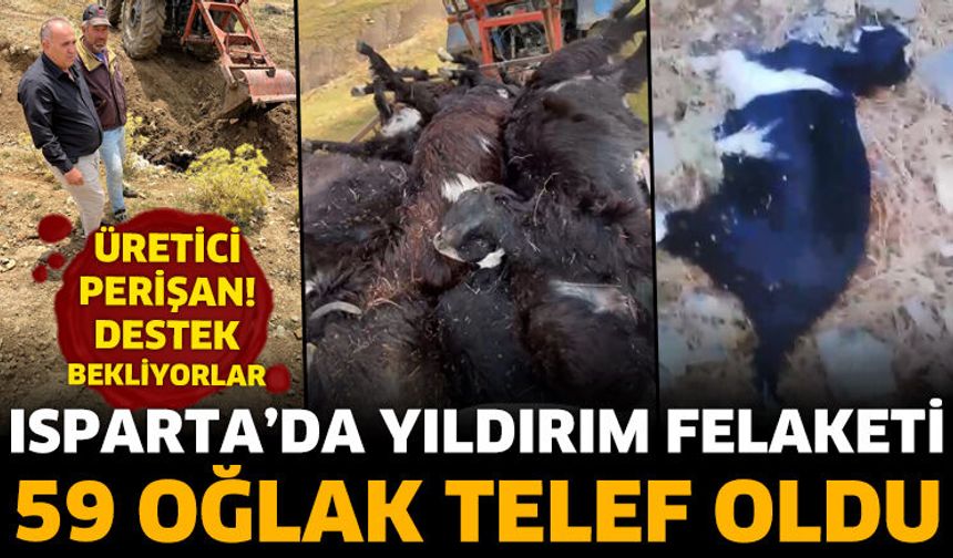 Isparta'da Yıldırım Felaketi! 59 Oğlak Telef Oldu