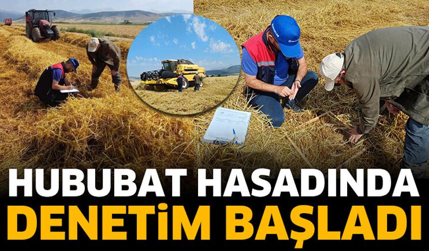 Hububat Hasadında Denetim Başladı
